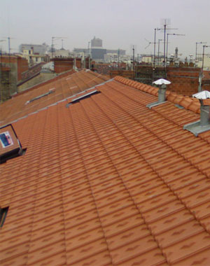 Un toit d'un immeuble à vizille