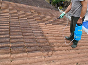 Une personne pulvérisant un toit. couvreur grenoble